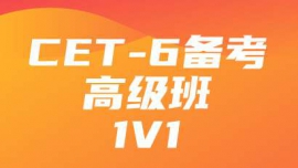 CET-6߼1V1