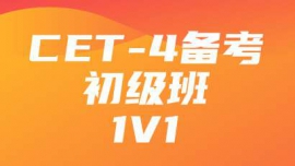 CET-41V1